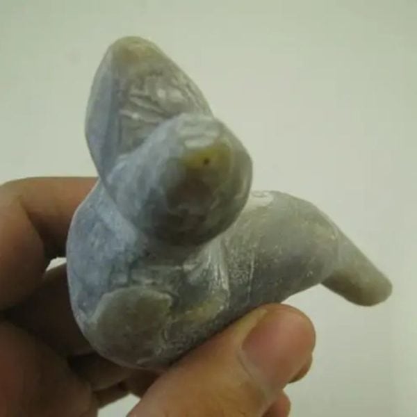 Cave Eel Fossil - Type B1 - Image 3