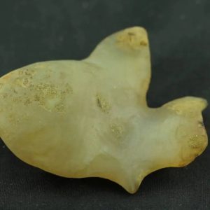 Fossil Fish - Type A1