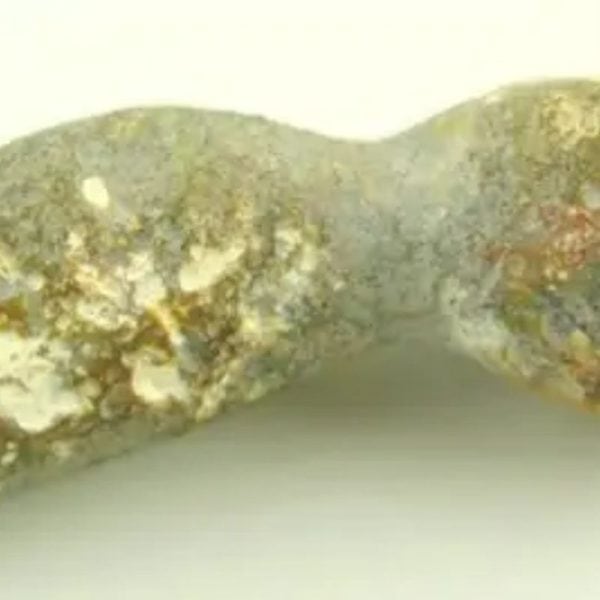 Fossil Suro Fish - Type A1 - Image 5