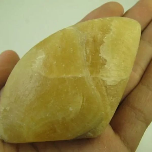 Fossilized Golden Sea Shell - Type A2 - Image 4