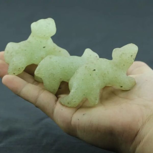 Fossilized Sea Otter - Type A - Image 3