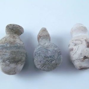 Fossilized Tiger Testicle Pearl - Type I1