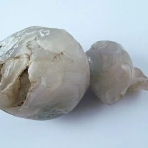 Fossilized Tiger Testicle Pearl - Type I3