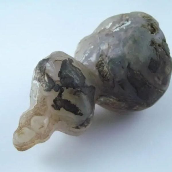 Fossilized Tiger Testicle Pearl - Type I3 - Image 4