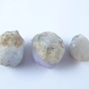 Fossilized White Tiger Testicles - Type J1