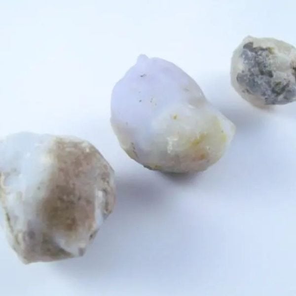 Fossilized White Tiger Testicles - Type J1 - Image 3