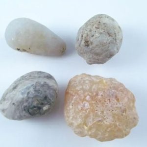 Fossilized White Tiger Testicles - Type J2