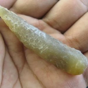 Bear Testicle Fossil - Type D1