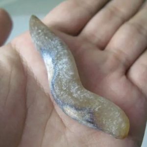 Snake Heart Fossil Type - E4