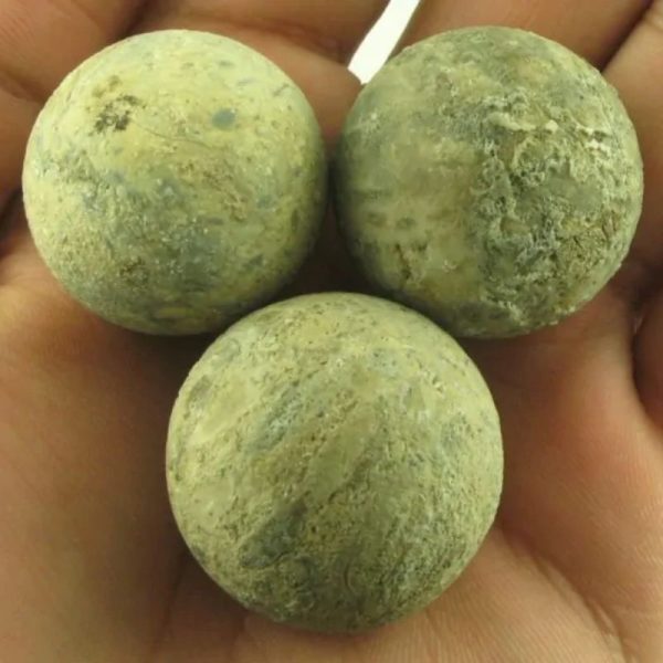 Eagle Pearls - Type F---SOLD!!! - Image 3