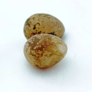 Chicken Pearls - Type A