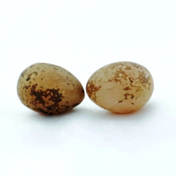 Chicken Pearls - Type A - Image 3