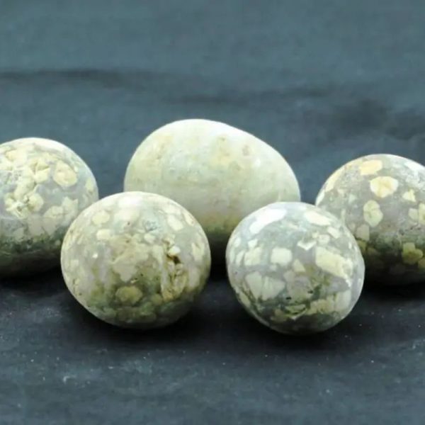 Fossilized Quail Eggs - Type C