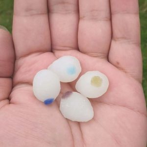 Seagull Bird Pearls - Type B (White Male)