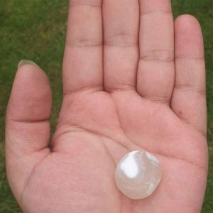 Duck Pearl - Type A1