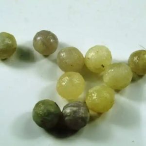 Green Cucak Bird Pearl - Type B