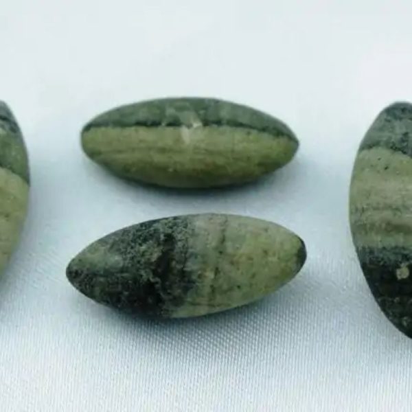 Rimba Tiger Pearls - Type Y1