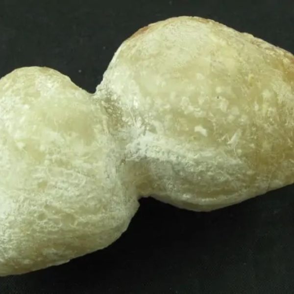 Tiger Siluman Testicle Pearl - Type A3 - Image 5