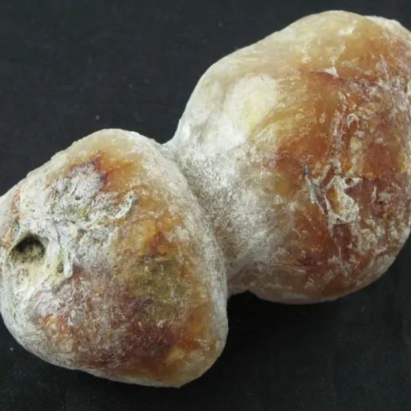 Tiger Siluman Testicle Pearl - Type A3 - Image 4