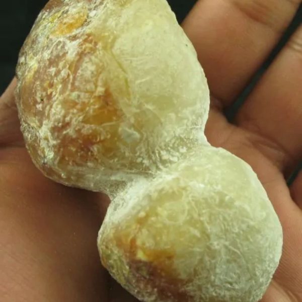Tiger Siluman Testicle Pearl - Type A3 - Image 3
