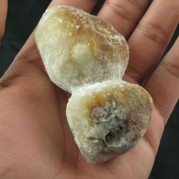 Tiger Siluman Testicle Pearl - Type A3 - Image 2