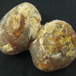 Tiger Siluman Testicle Pearl - Type A5