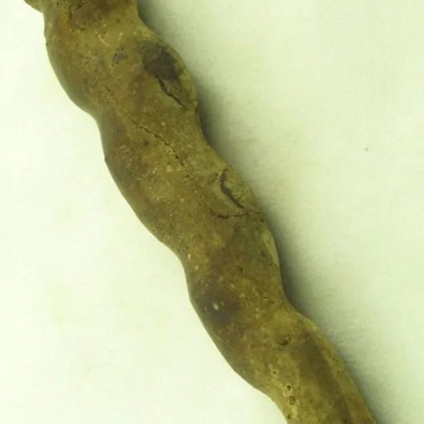 Cobra Siluman - Type A3 - Image 6