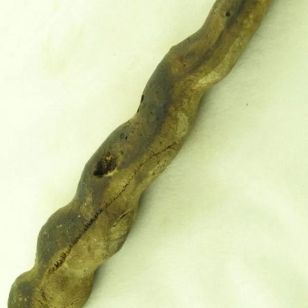 Cobra Siluman - Type A3 - Image 4