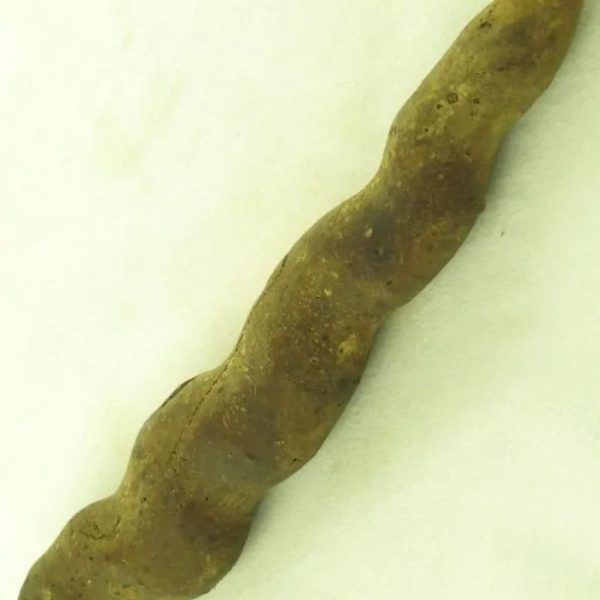 Cobra Siluman - Type A3 - Image 3