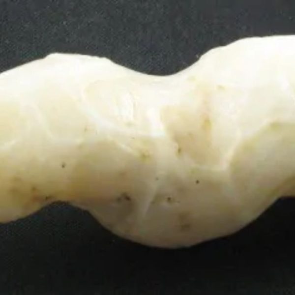Cobra Siluman Pearl - Type B1.1 - Image 2