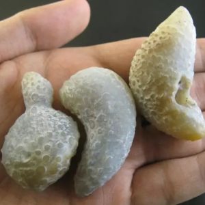 Monkey Pearl - Type K2 (Etheric Monkey)