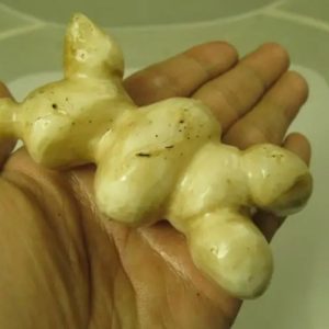 White God Monkey Pearl - Type C16