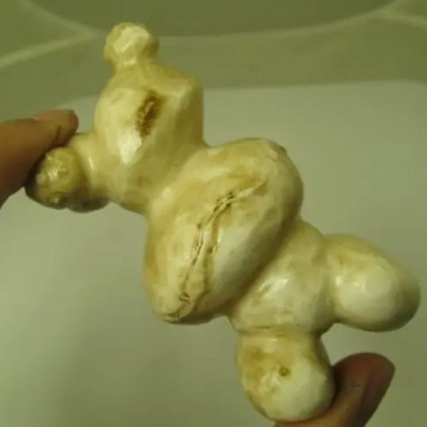 White God Monkey Pearl - Type C16 - Image 2