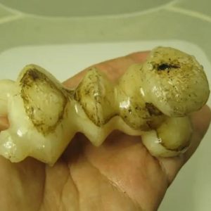 White God Monkey Pearl - Type C15