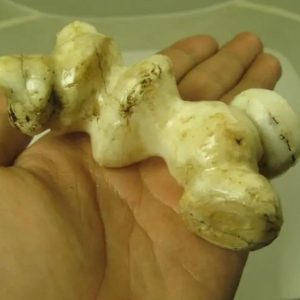 White God Monkey Pearl - Type C14