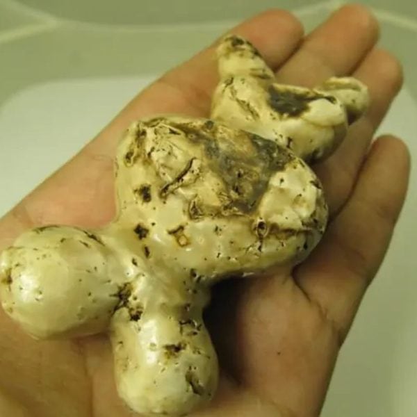 White God Monkey Pearl - Type C13