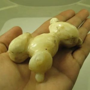 White God Monkey Pearl - Type C9