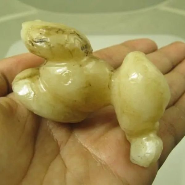 White God Monkey Pearl - Type C8 - Image 3