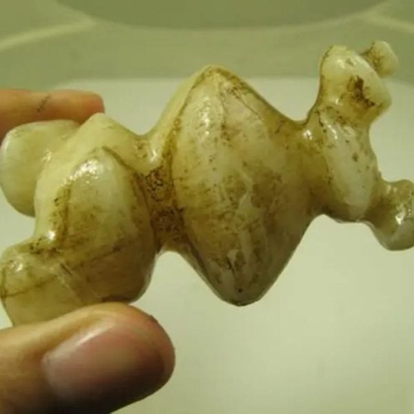 White God Monkey Pearl - Type C6 - Image 2