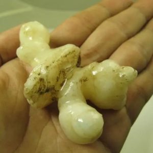 White God Monkey Pearl - Type C5