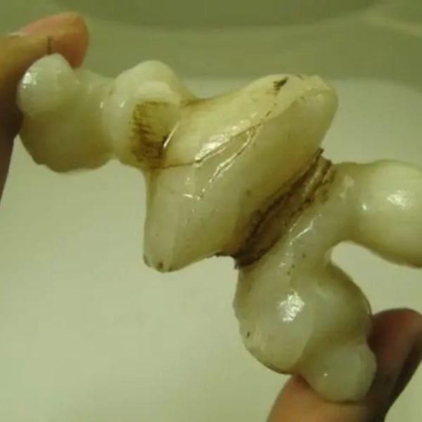 White God Monkey Pearl - Type C5 - Image 2