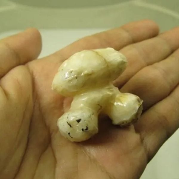 White God Monkey Pearl - Type C1 - Image 3