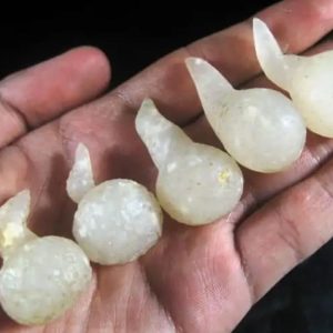 Forest Crone Spirit Pearls - Type A5