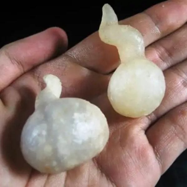 Forest Crone Spirit Pearls - Type A4 - Image 3