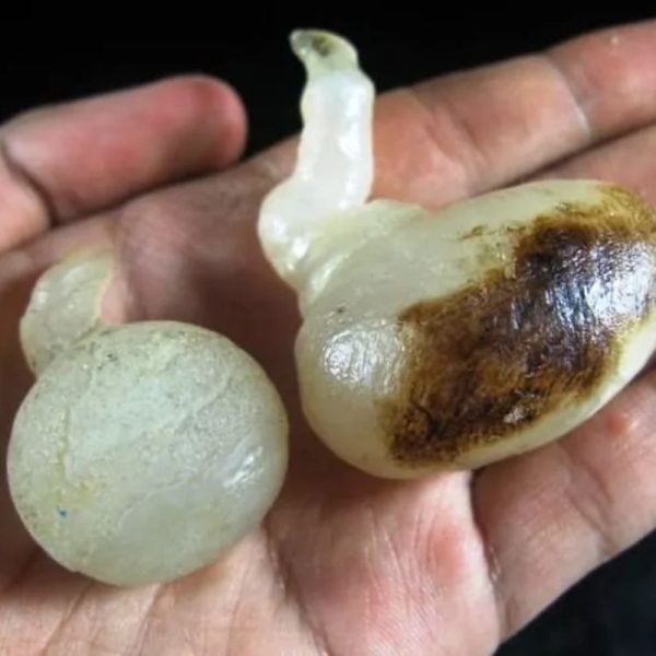 Forest Crone Spirit Pearls - Type A4 - Image 2