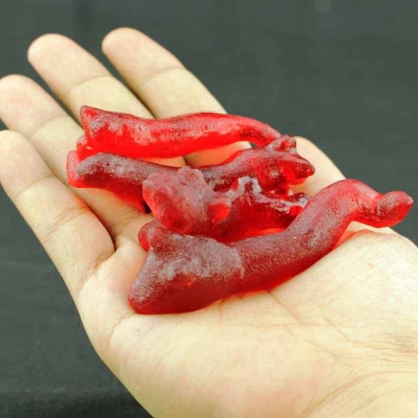 Fossilized Crystal of Red Siluman Eel Moak - Image 2