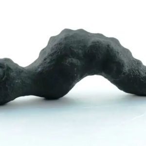 Fossilized Eel Moak Siluman - Type A1