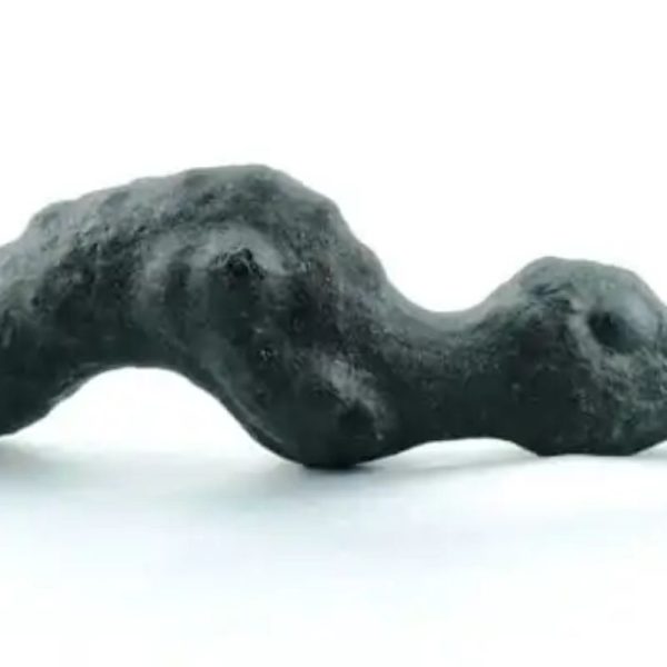Fossilized Eel Moak Siluman - Type A1 - Image 4