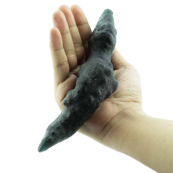 Fossilized Eel Moak Siluman - Type A1 - Image 2