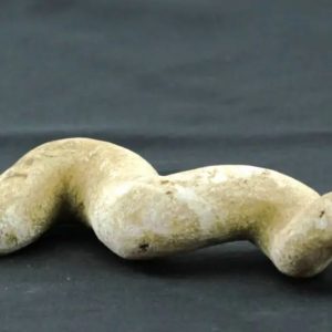 Fossilized Moak Siluman - Type B3